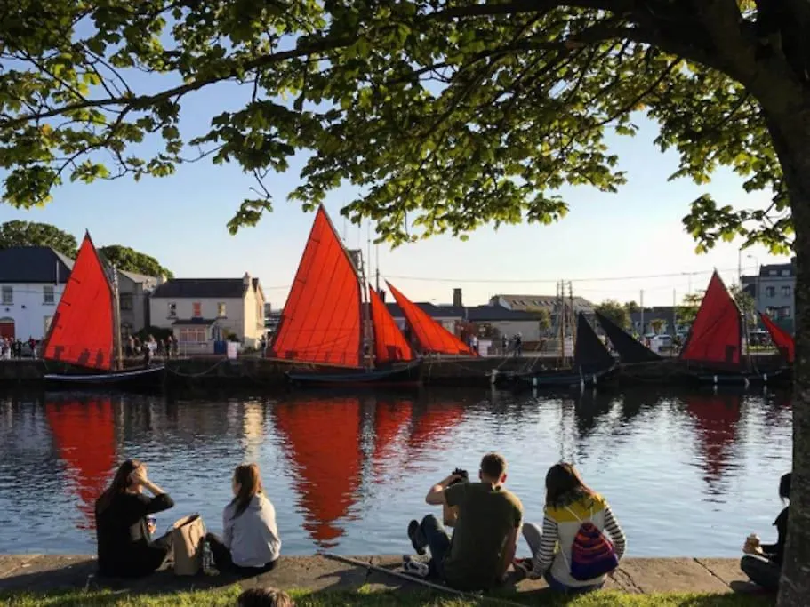 Beautiful One Bedroom Apartment In Galway City-1
