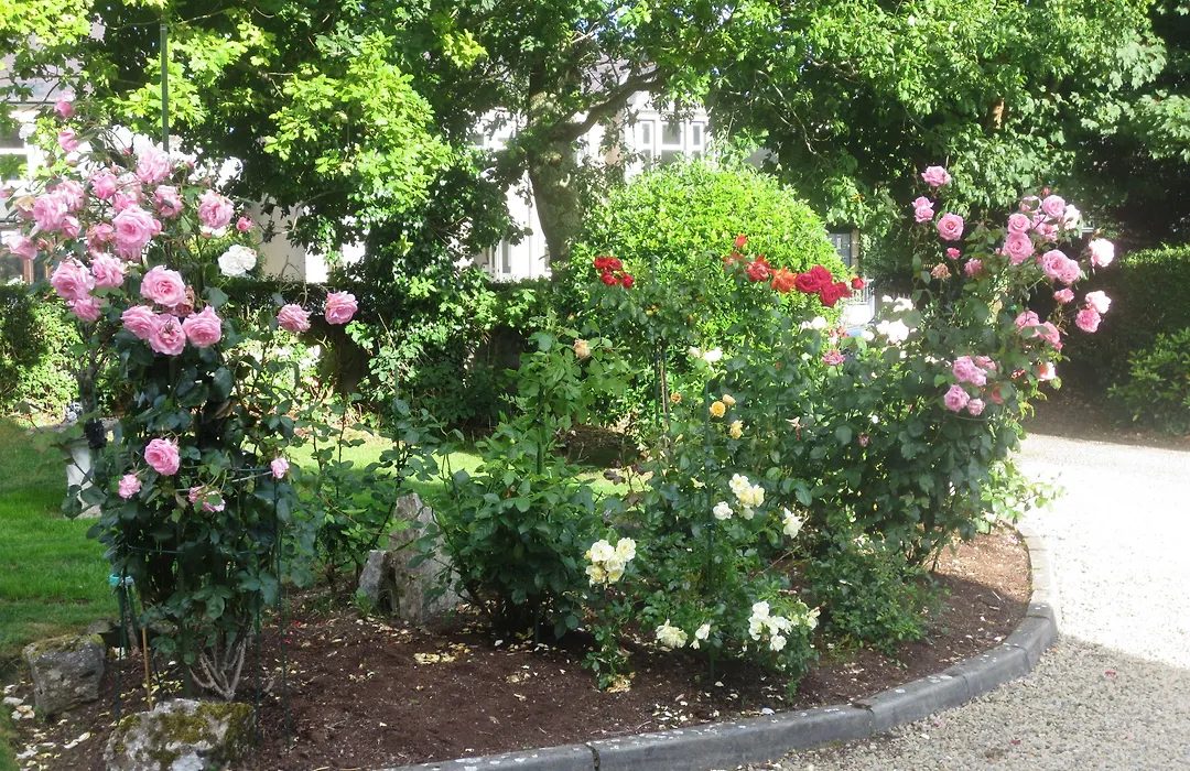 St Judes B&B-1