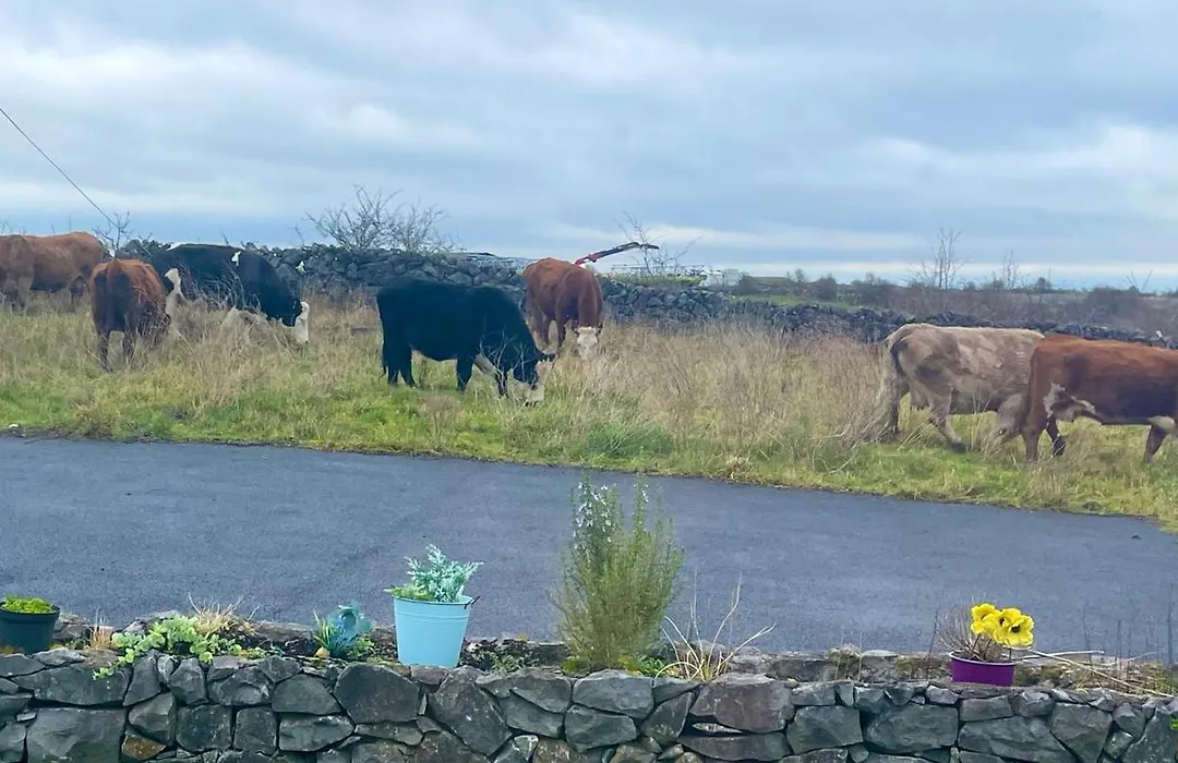 Tigh Noor - Escape To Kinvara By The Sea!-1