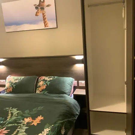 Cozy Small 1 Bedroom Apartment-2