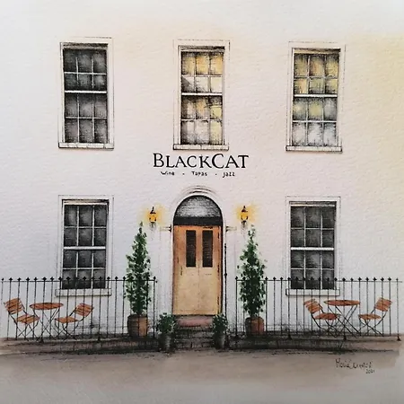 Black Cat-2