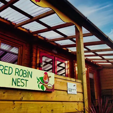 Red Robin Nest-3