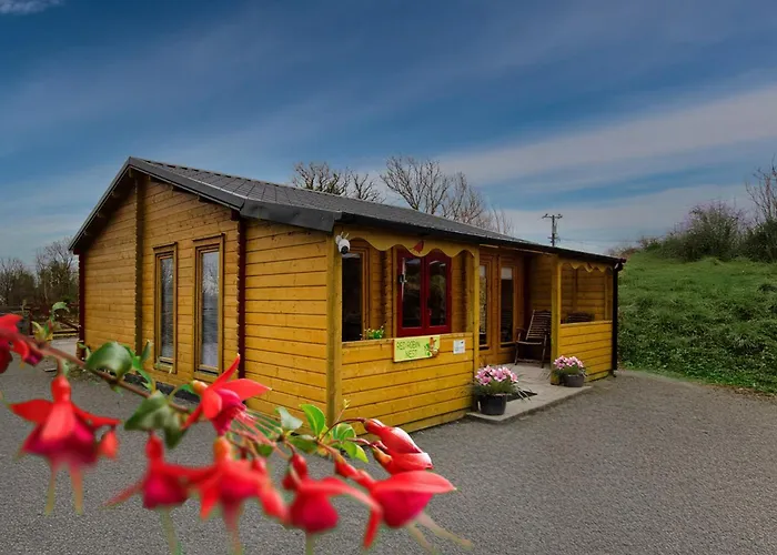 Red Robin Nest Apartment Galway