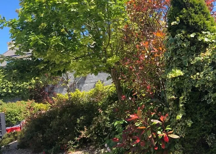 Bed and Breakfast Amber Hill Galway