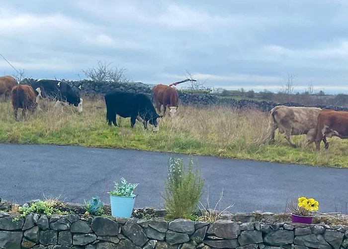 Tigh Noor - Escape To Kinvara By The Sea! Galway