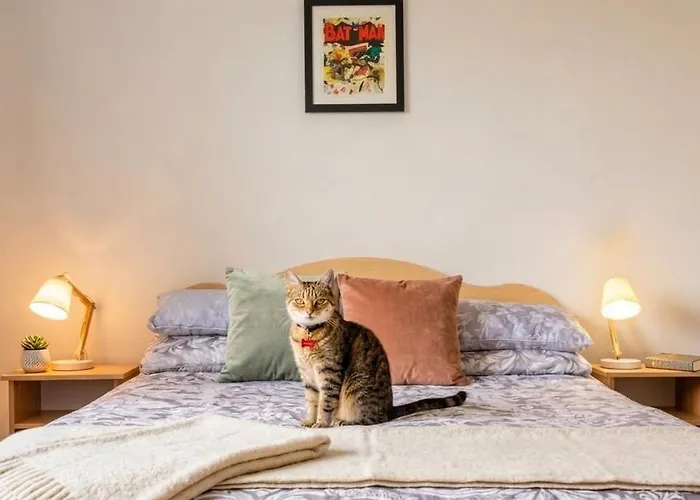 Central Stay With Free Parking Private Room In Shared Flat Galway