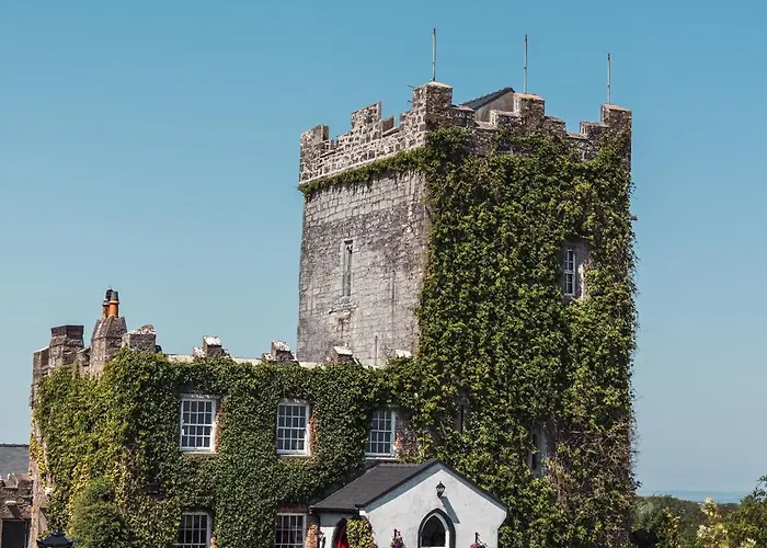 Cloonacauneen Castle Galway