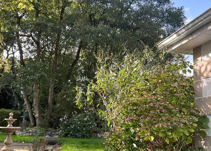 Woodland Cottage Galway